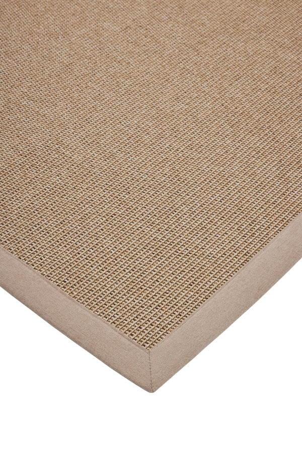 Solid - Beige & Beige