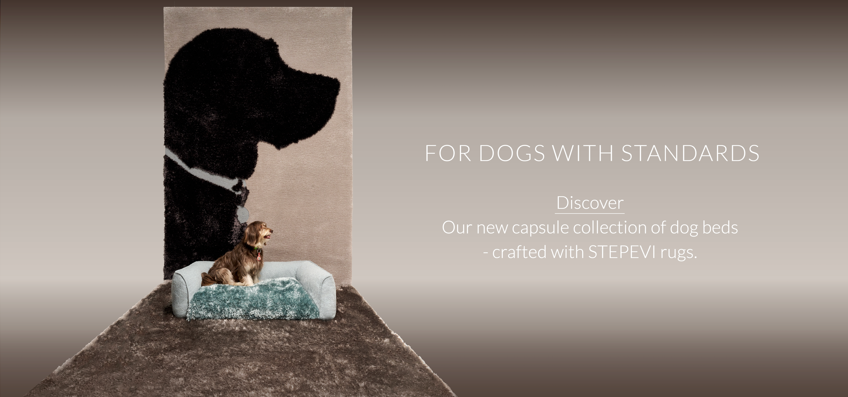 Dog standing on a rug with another dog on a bed, featuring text about STEPEVI rugs.slider_item_cVnxkj