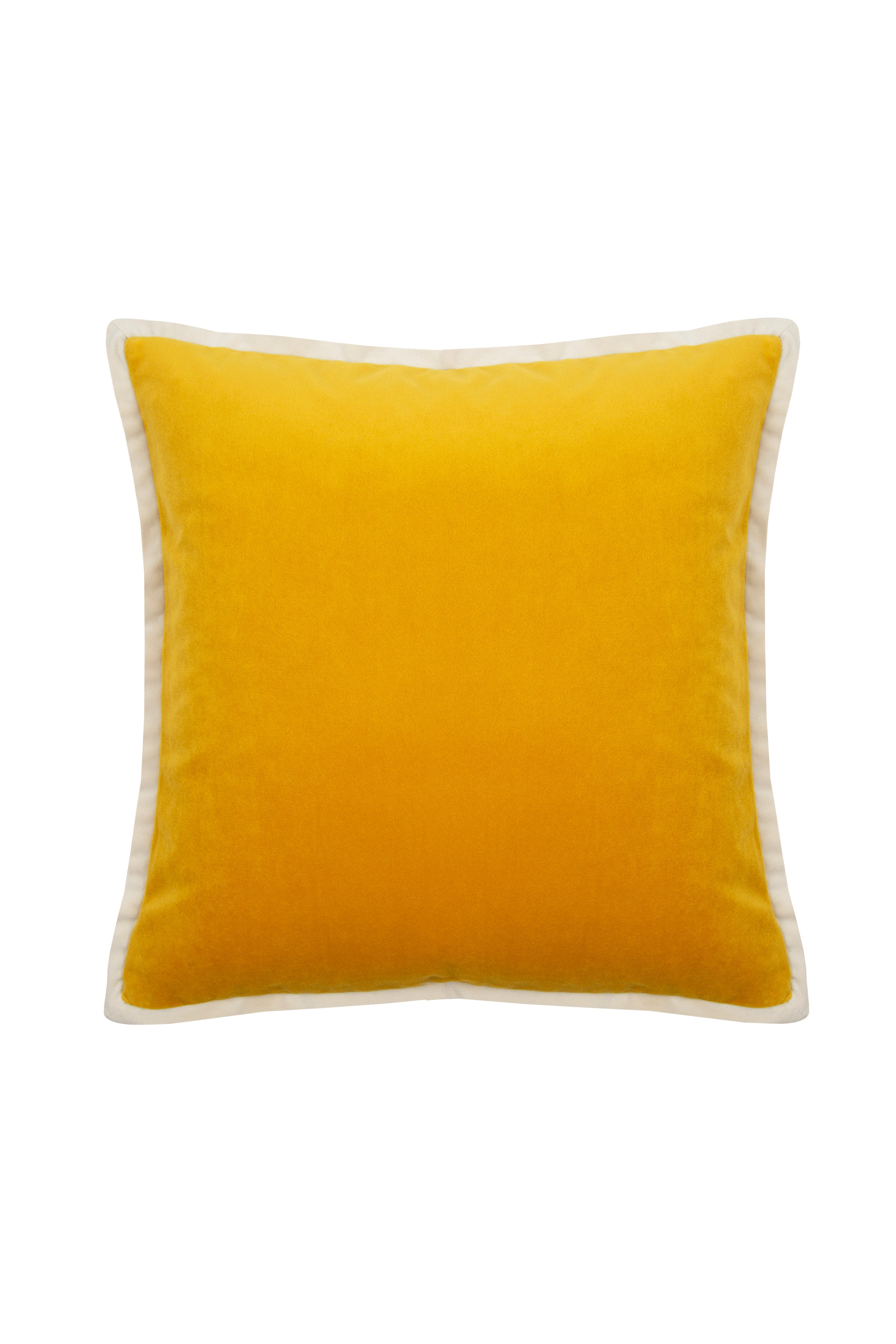 Velvet Piped Square Cushion - Yellow & Cream