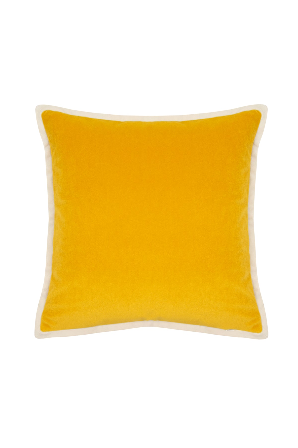 Yellow and cream piped cushion. Adds a splash of colour to any room. Square decorative velvet pillow.