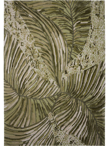 Foliage - Nature