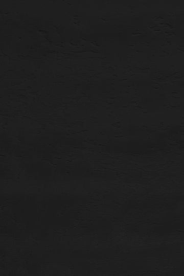 Mural - Black - 14