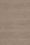 Mural - Taupe Gray - 264