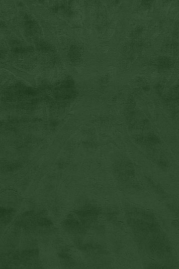 Wind - Laube Green - 283