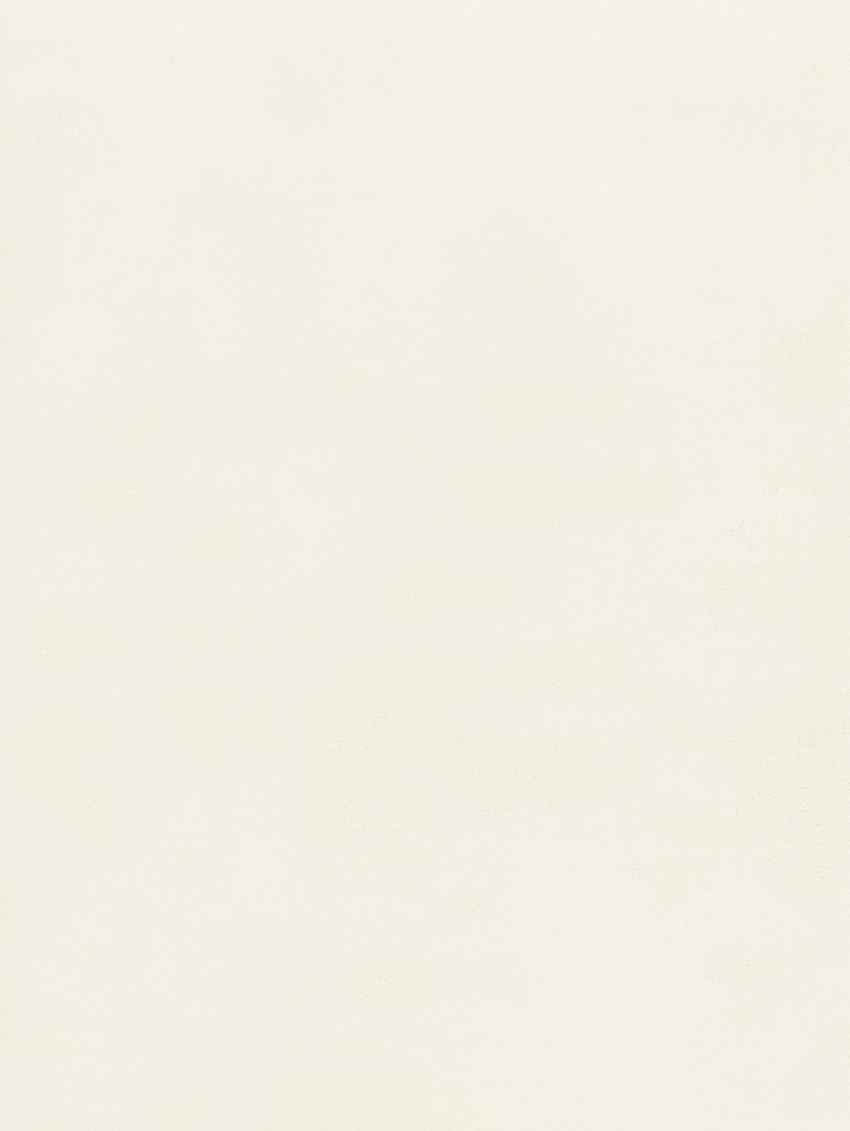 Ecru flat surface, showcasing the subtle texture of this versatile solid color tone for various applications.
