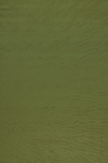 Desert - Apple Green - 218