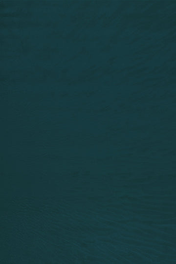 Desert - Rebel Blue - 237