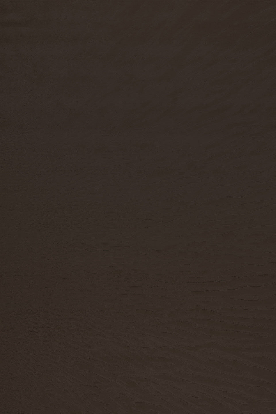 Desert - Taupe Brown - 139