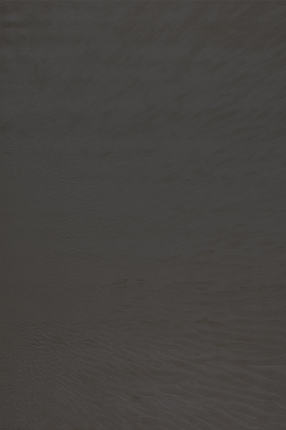 Desert - Titanium Gray - 135